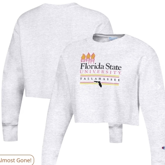 Champion Tops - Champion Heathered Gray Florida State Seminoles Cropped Sweatshirt L Like New